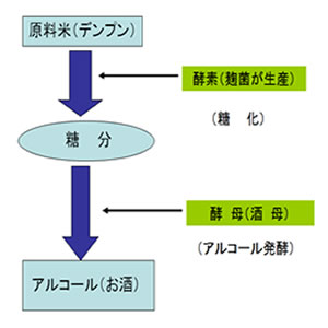 原始人会　どぶろく造り　お酒が出来る原理