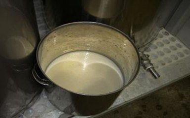 原始人会　どぶろく造り　酒母（種酵母・水・麹・蒸米）