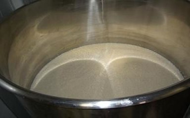 原始人会　どぶろく造り　発酵終了（仕込後約2週間）