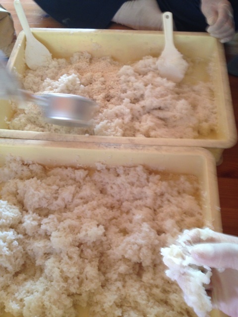 どぶろく醸造体験