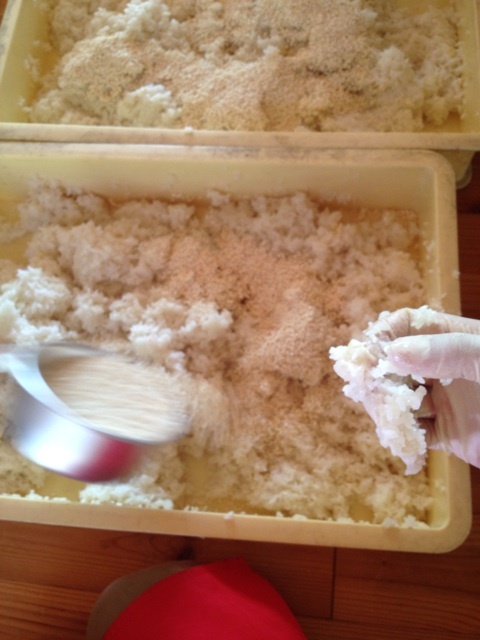 どぶろく醸造体験