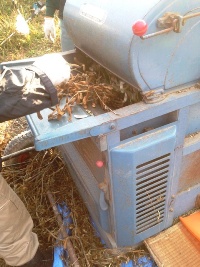 市民農園　収穫体験