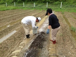 市民農園　収穫体験