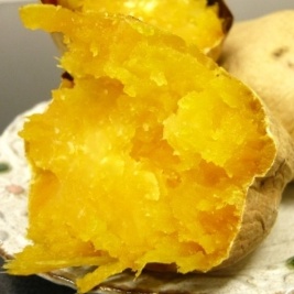 市民農園　収穫体験