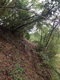 害獣対策:山行き 里山整備
